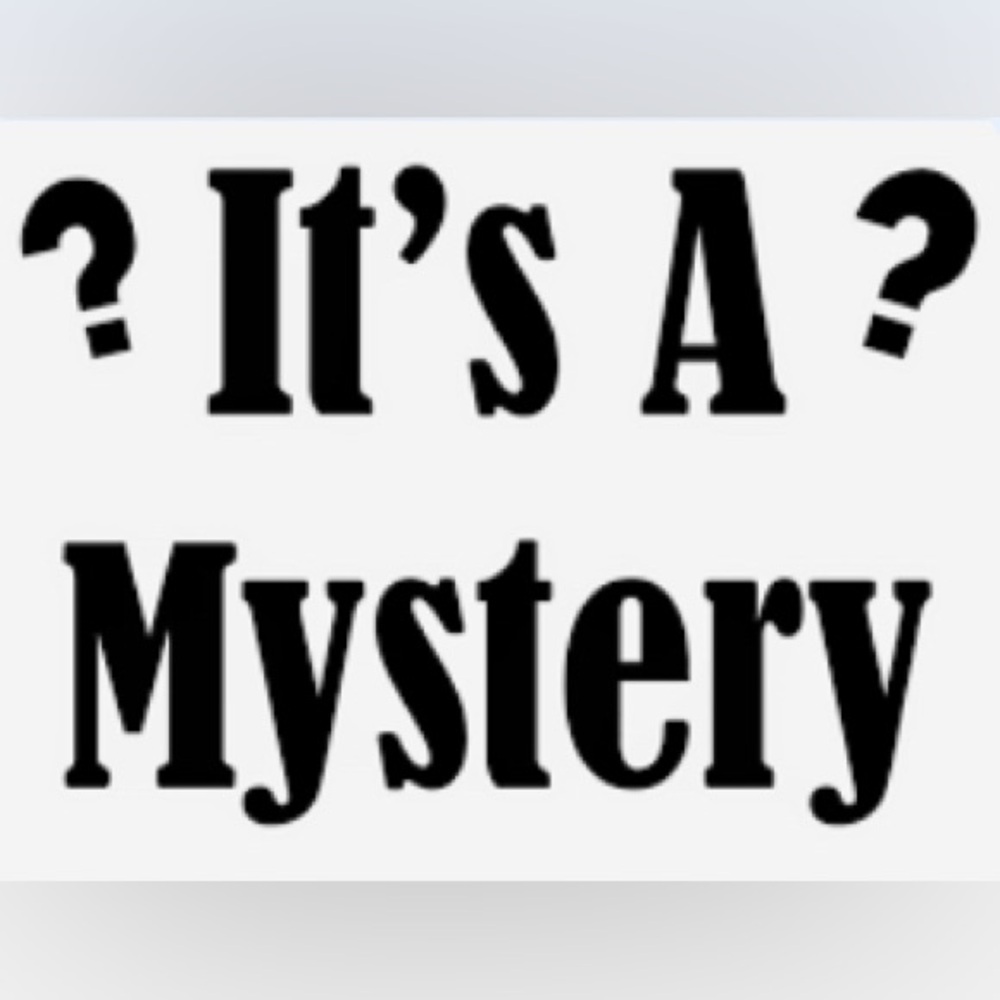 Women’s Dress Mystery Box Size XL